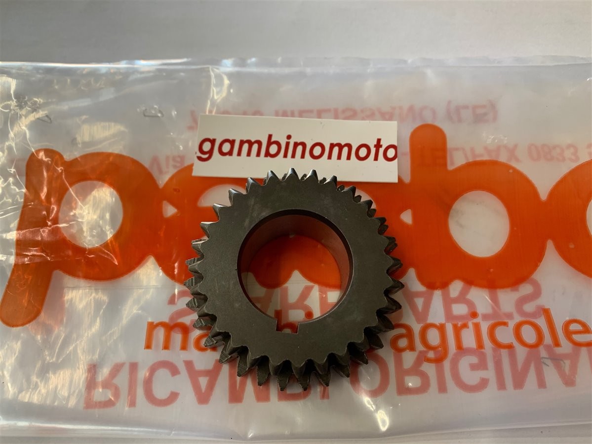 INGRNAGGIO 1° E 2° VELOCITA' MOTOZAPPA PASBO MODELLO G83 Z28-Z32