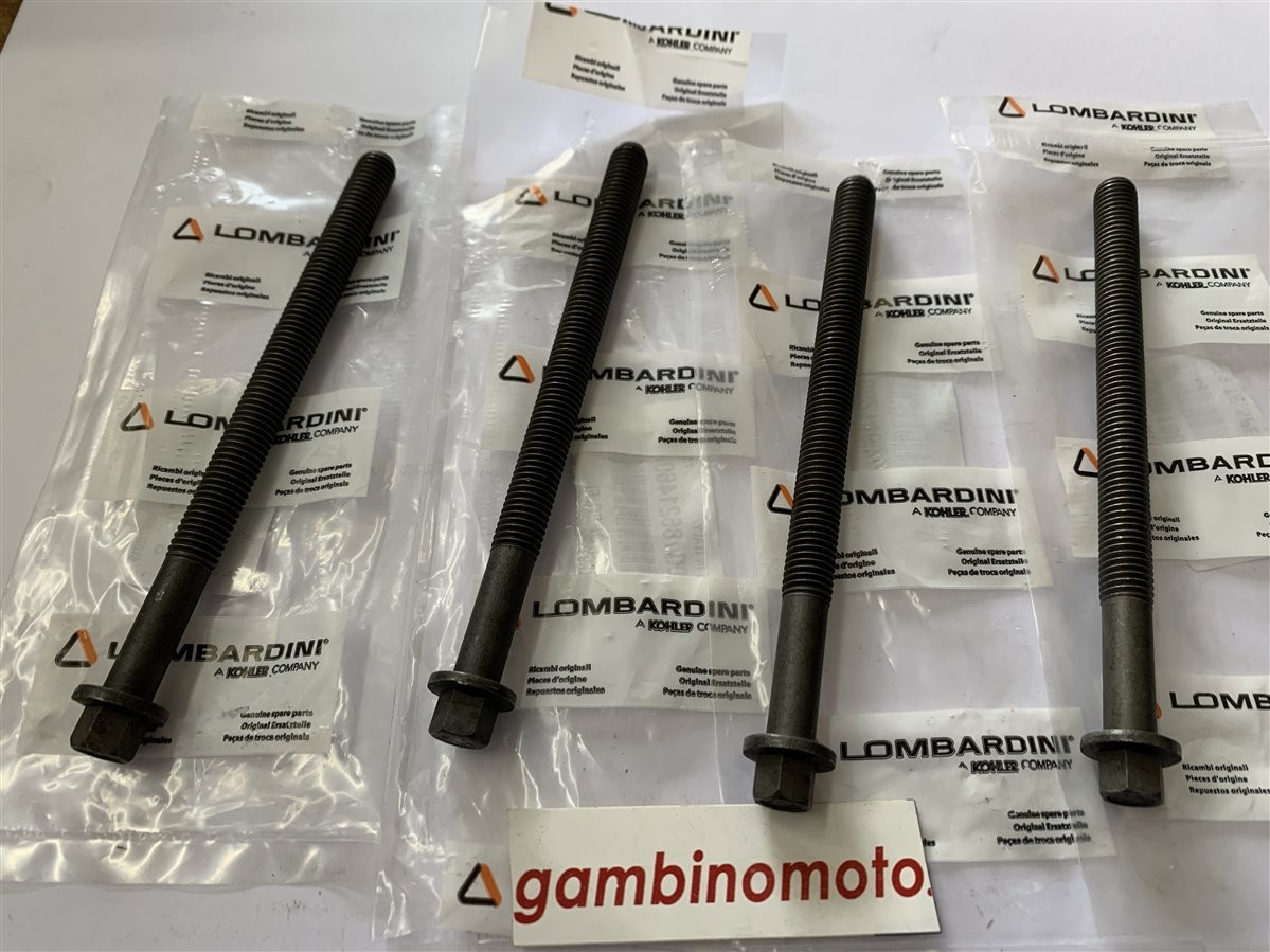 PRIGIONIERI MOTORE LOMBARDINI 15LD315 - 15LD350