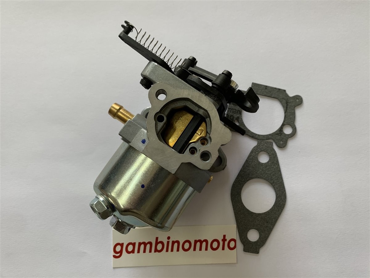 CARBURATORE MOTORE BRIGGS & STRATTON HUAYI DOV 100600      300530