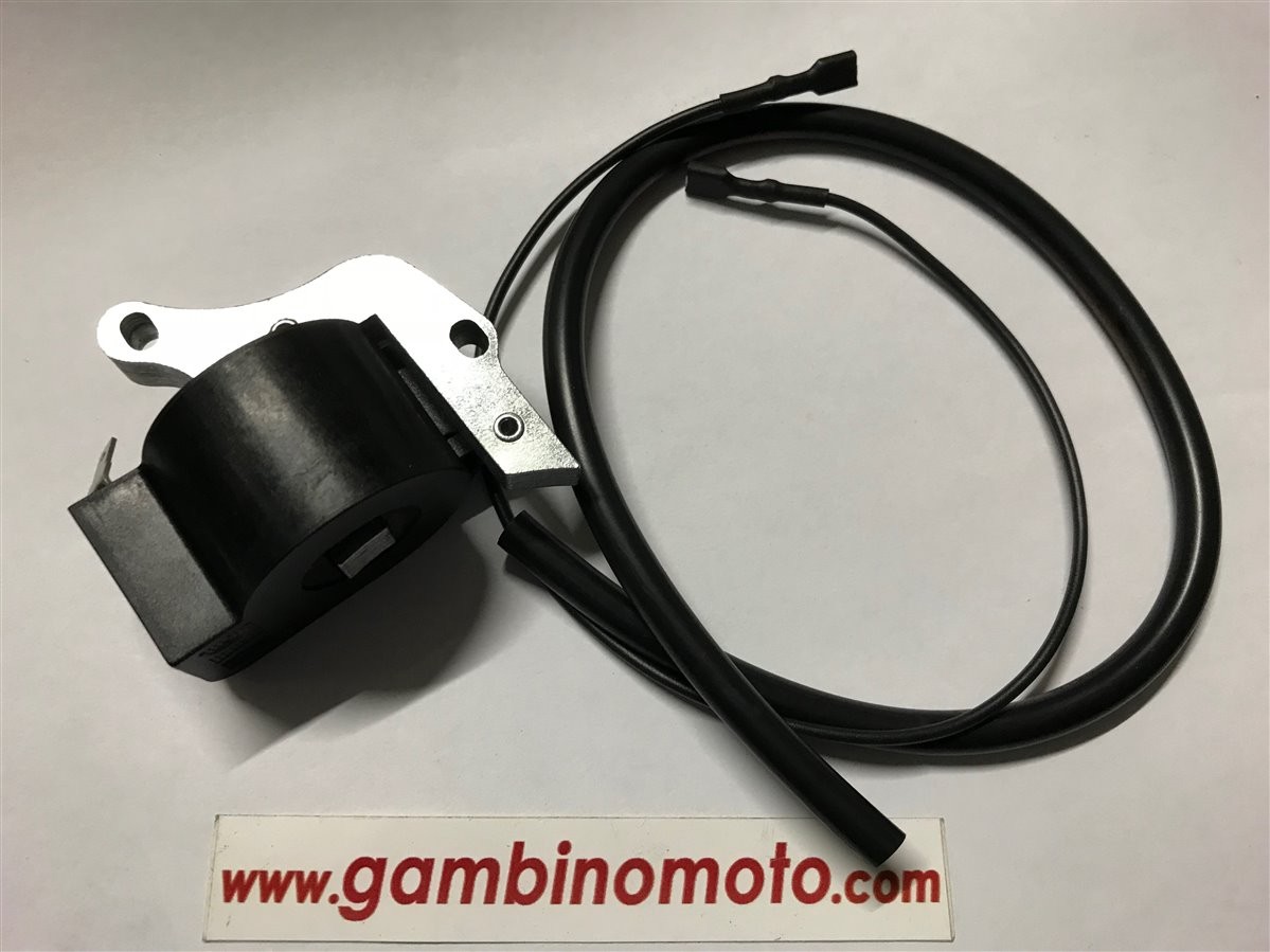 BOBINA ACCENSIONE ELETRONICA MOTOSEGA ALPINA-CASTOR CASTELGARDEN 40-41-45 BM5756