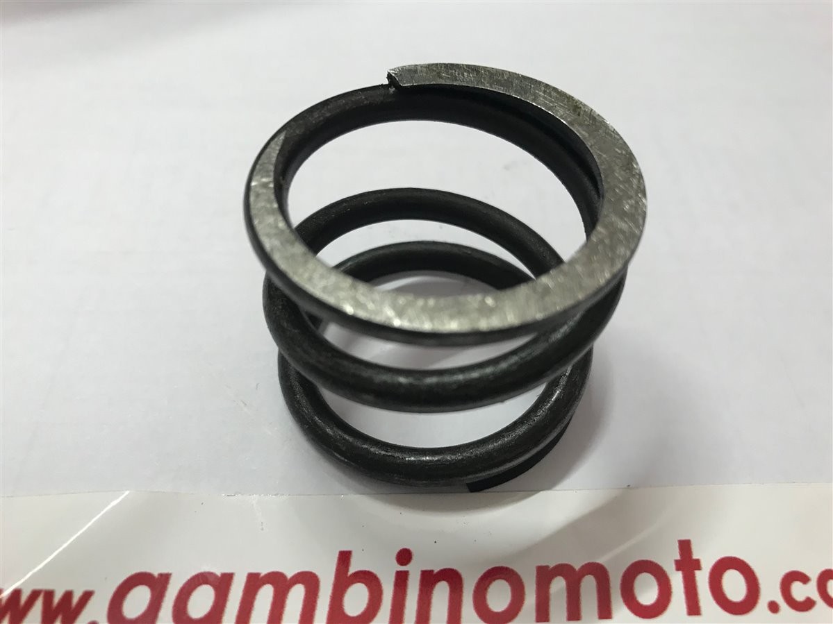 MOLLA FRIZIONE MOTOZAPPE UNIVERSAL NUOVO TIPO - SPECIAL NUOVO TIPO