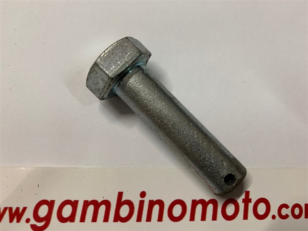 SPINA TIMONE DIAMETRO MM 12 MOTOZAPPA EUROGREEN E572 -73-83 PASBO