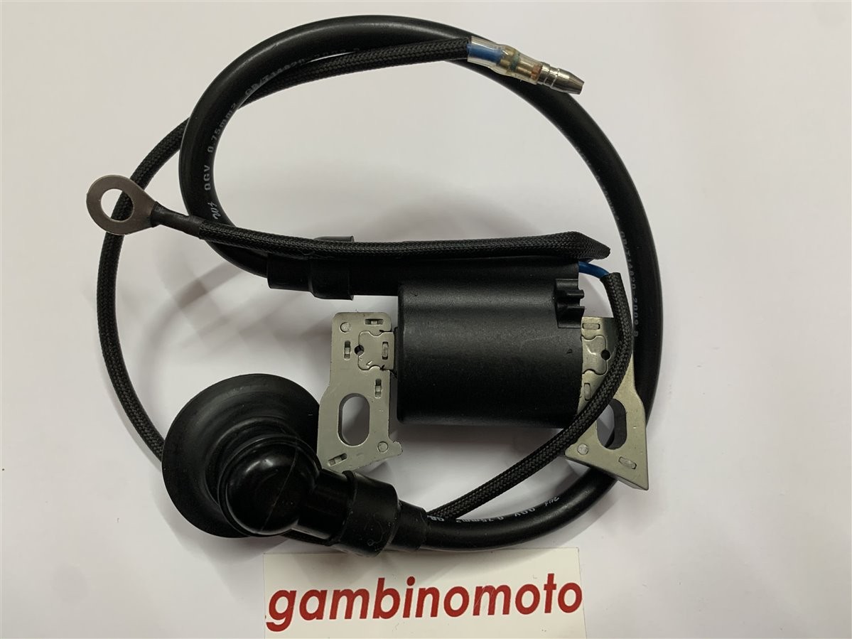 BOBINA BRUMAR ELETTRONICA DUCAR  GENERATORI D 1000i