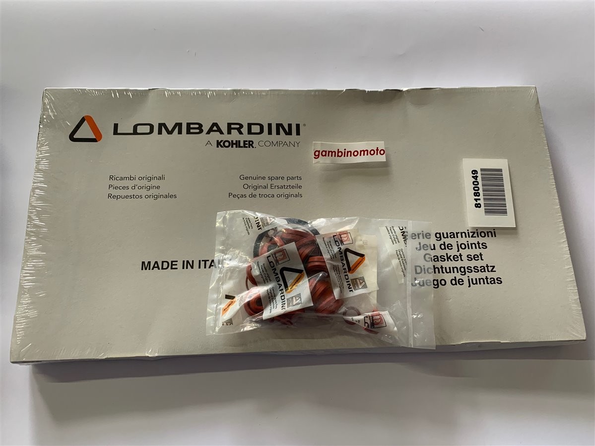 GUARNIZIONI MOTORE COMPLETO LOMBARDINI LDA834 CON ANELLI OR