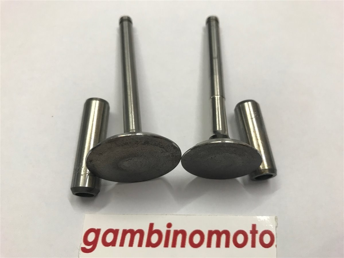KIT VALVOLE + GUIDA VALVOLE MOTORE LOMBARDINI 15LD315/350  9652.130 : O = 36 mm M = 91,5 mm 9685.133 : O = 32 mm M = 91,5 mm 4845.218 : S = 7,03 R = 11,05 T = 40 4845.219 : S = 7,03 R = 11,05 T = 31 