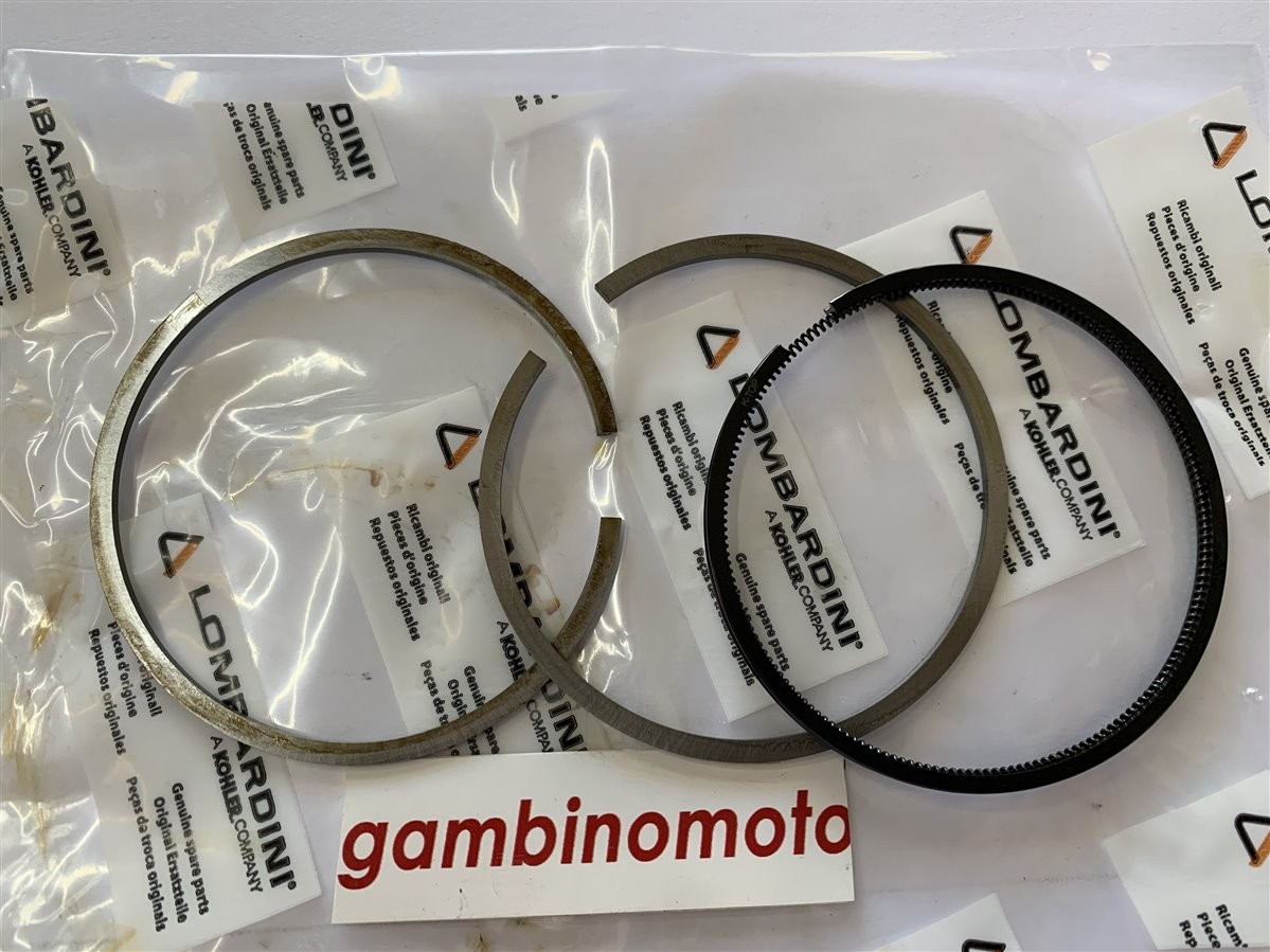 SEGMENTI MOTORE ACME ALN 290 STANDARD