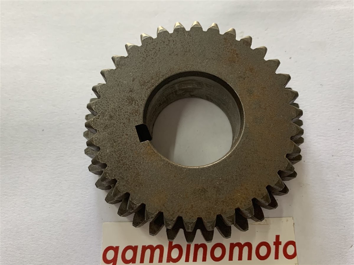 INGRANAGGIO FISSO MOTOZAPPA PASBO MODELLO  Z34-Z38