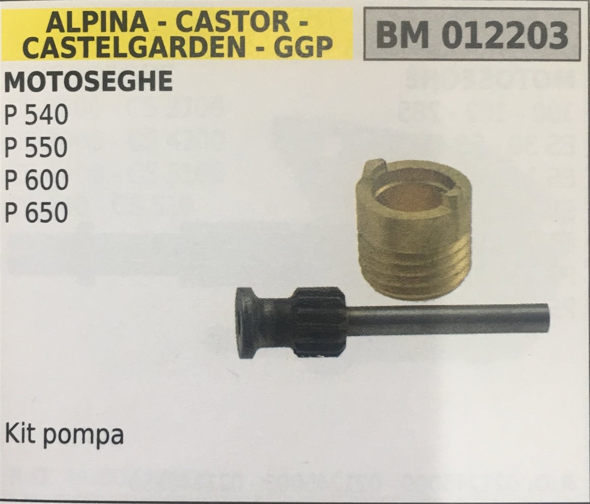 POMPA OLIO BRUMAR ALPINA - CASTOR -CASTELGARDEN - GGP MOTOSEGHE P 540 P 550 P 600 P 650    Kit pompa