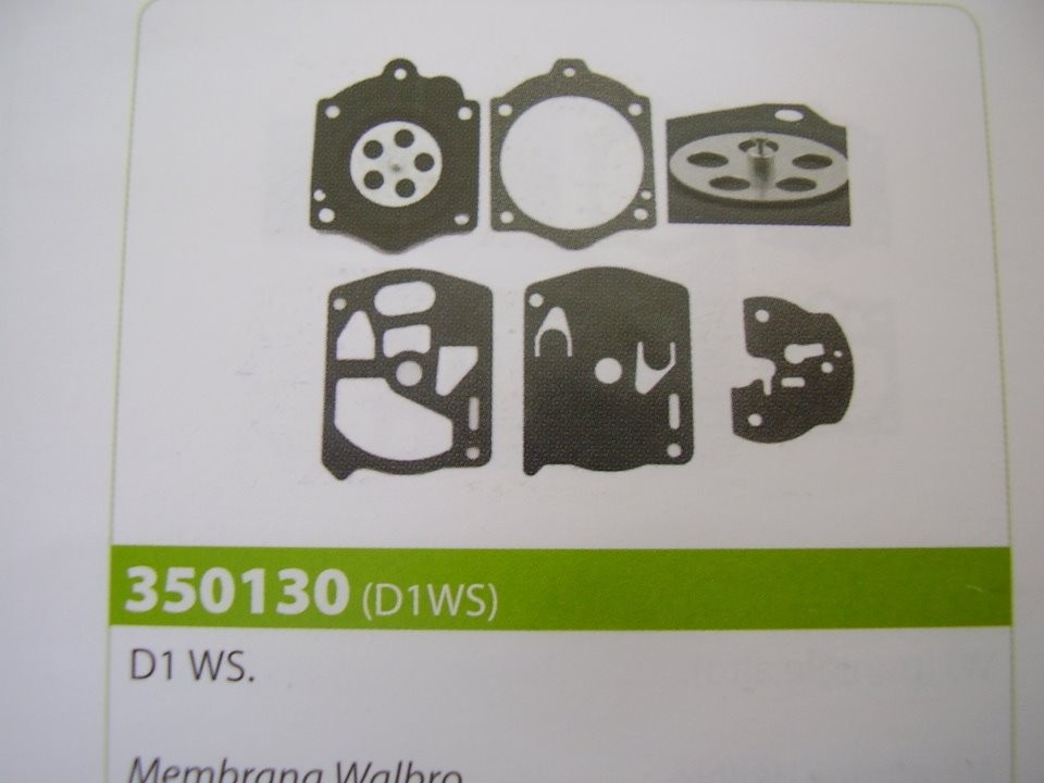 MEMBRANA WALBRO D1 WS