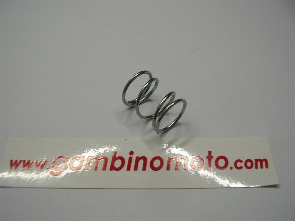 MOLLA FILTRO NAFTA LOMBARDINI LDA-75-80-450-510-91-97-100-820-904-914-6LD 360