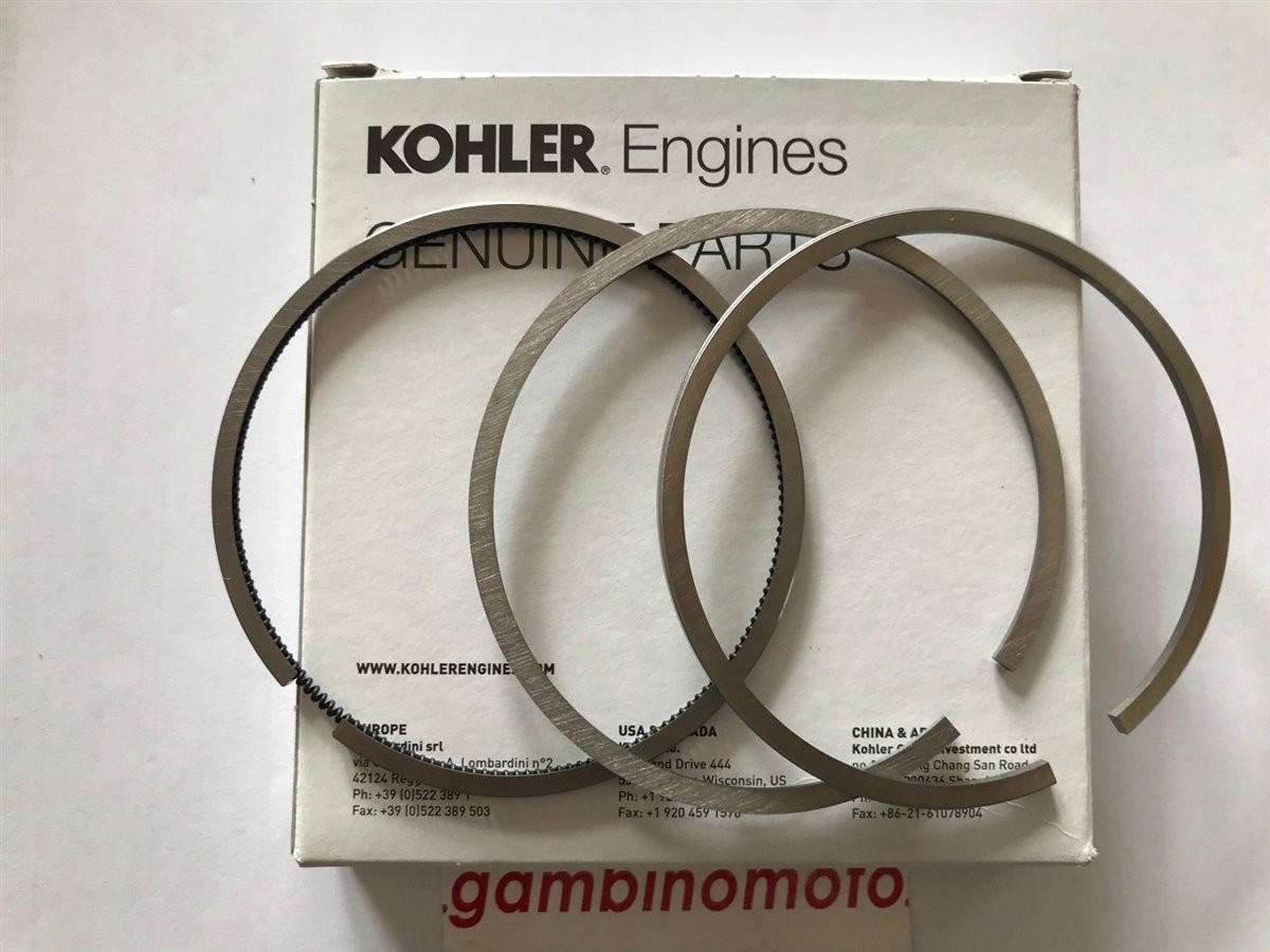 SEGMENTI MOTORE RUGGERINI MD190 STANDARD