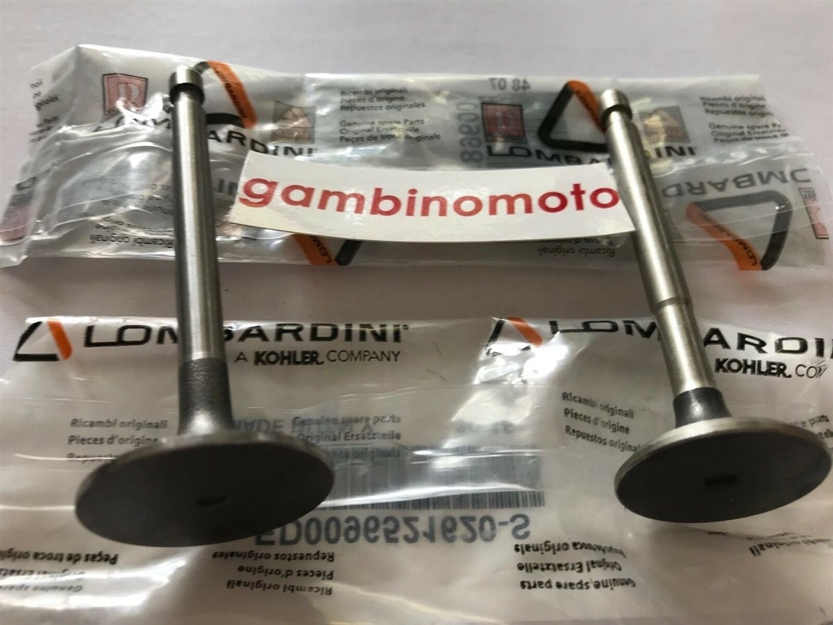 VALVOLE MOTORE LOMBARDINI INTERMOTOR LA250 SERBATOIO IN FERRO