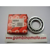 CUSCINETTO FAG 16005A MISURA 25-47-8