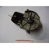 MOTORE COMPLETO DECESPUGLIATORE SPARTA S250 