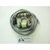 STATORE CAMPO MAGNETI PIAGGIO APE CAR P2 P3 TM 703 602 220 A BENZINA