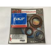 KIT REVISIONE CUSCINETTI BANCO ALBERO MOTORE PARAOLI PIAGGIO APE P602 TM 703