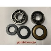 KIT REVISIONE ALBERO MOTORE COMPLETO DI PARAOLI PER PIAGGIO APE MP 600/MP501/550