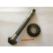 COPPIA CONICA INFERIORE QUADRATA MOTOCOLTIVATORE PASQUALI 12 CAVALLI TIPO 598 - 945 - 931 - 945 - 950 - 958 NUMERO DENTI PIGNONE 12 DENTI CORONA 22 