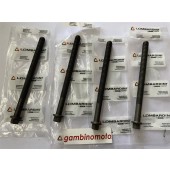 PRIGIONIERI MOTORE LOMBARDINI 15LD315 - 15LD350