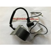 BOBINA ACCENSIONE DOLMAR SACHS-MAKITA 109-110-111-51-52
