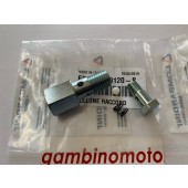 BULLONE + RACCORDO POMPA iniezione motore LOMBARDINI 6LD360-400-6LD435 