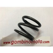 MOLLA FRIZIONE MOTOZAPPE UNIVERSAL NUOVO TIPO - SPECIAL NUOVO TIPO