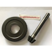 COPPIA CONICA INFERIORE MOTOZAPPA PASBO G94-G84-G83 Z8 PIGNONE Z29 CORONA