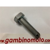 SPINA TIMONE DIAMETRO MM 12 MOTOZAPPA EUROGREEN E572 -73-83 PASBO