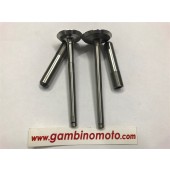 KIT VALVOLE + GUIDA VALVOLE MOTORE LOMBARDINI LDA450/451/510 3LD450-3ld510 (SERIE)  9652.017 :O = 34,2 mm M = 99,4 mm 9685.027 : O = 29,5 mm M = 99 mm 4845.154 : S = 7,03 R = 11,06 T = 56 4845.156 : S = 7,03 R = 11,06 T = 44 