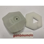 BRUMAR FILTRO ASIA - CINA - GOOD LUCK - LEA - SANDRIGARDEN - SWM - MTD  MOTOSEGHE ZM 2500 PN 2500 ZL 868  filtro completo R.O. - 