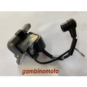 BOBINA BRUMAR ELETTRONICA EFFECIENT MOTOSEGHE EF 4010