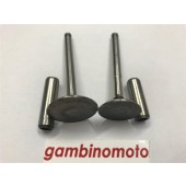 KIT VALVOLE + GUIDA VALVOLE MOTORE LOMBARDINI 6LD360 - 6LD400  - 6LD435  9652.040 : O = 34,2 mm M = 84 mm 9685.051 : O = 29,5mm M = 83,5 mm 4845.166 : S = 7,05 R = 11,05 T = 40 4845.168 : S = 7,05 R = 11,05 T = 33 