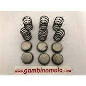 MOLLE FRIZIONE PIU' TAPPI VESPA PX-PE-RALLY-SUPER-SPRINT