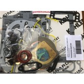 GUARNIZIONI MOTORE RUGGERINI RD220-240-92/2 - 901/2 - RDK901/2