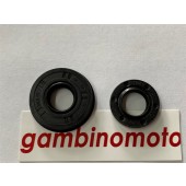 PARAOLI BANCO MOTOSEGA ALPINA CJ300-A305-25CC-CASTOR-CASTELGARDEN