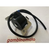 CENTRALINA ELETRONICA MOTORE CM 100 - CM125 R511-A1118 SELETTRA MADE IN ITALY