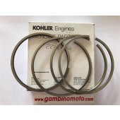 SEGMENTI MOTORE RUGGERINI RD 920 - RD 240 STANDARD 