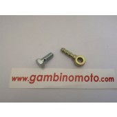 VITE FORATA + RACCORDO TUBO GASOLIO SERBATOIO MOTORE LOMBARDINI 6LD360-6LD400