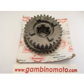 INGRANAGGIO SCORREVOLE Z 31/36 MOTOZAPPA BRUMI SIMPLEX