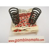 MOLLE VALVOLE MOTORE RUGGERINI  RICAMBIO ORIGINALE CODICE 54058