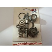 POMPA KIT REVISIONE H2o SCOOTER KYMCO 250CC  4T