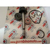 POMPA KIT REVISIONE H2o YAMAHA MAJESTY 400 CC