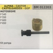 POMPA OLIO BRUMAR ALPINA - CASTOR -CASTELGARDEN - GGP MOTOSEGHE P 540 P 550 P 600 P 650    Kit pompa