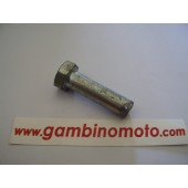 SPINA TIMONE DIAMETRO MM12 LUNGHEZZA UTILE MM43 CON FORO 