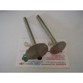 VALVOLE MOTORE RUGGERINI RF80 960.49: O = 33mm M = 95mm 