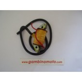 BOBINA AT IMPIANTO DUCATI  MOTORE MINARELLI I50 AGRICOLO 
