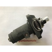 POMPA INIEZIONE MOTORE RUGGERINI MD150-MD151-MD190-MD191 FOTO DIMOSTRATIVA