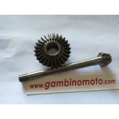  COPPIA CONICA MOTOCOLTIVATORE PGS 18 CV DENTI PIGNONE 11 DENTI CORONA 28  FOTO DIMOSTRATIVA