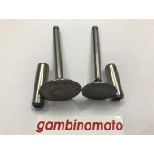 KIT VALVOLE + GUIDA VALVOLE MOTORE LOMBARDINI 6LD325