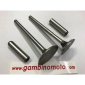 VALVOLE PIU GUIDA VALVOLE MOTORE LOMBARDINI 9LD560-2/561-2 9LD625-2/626-2 11LD535-3/625-3/626-3 12LD435-2/475-2  9652.061 : O = 39 mm ; M = 102,2 mm  9685.067 :O = 32,5 mm ; M = 102,2 mm  4845.182 : S = 7,5 ; R =14 ;T = 48  4845.184 : S = 7,5 ; R = 14 ;T 